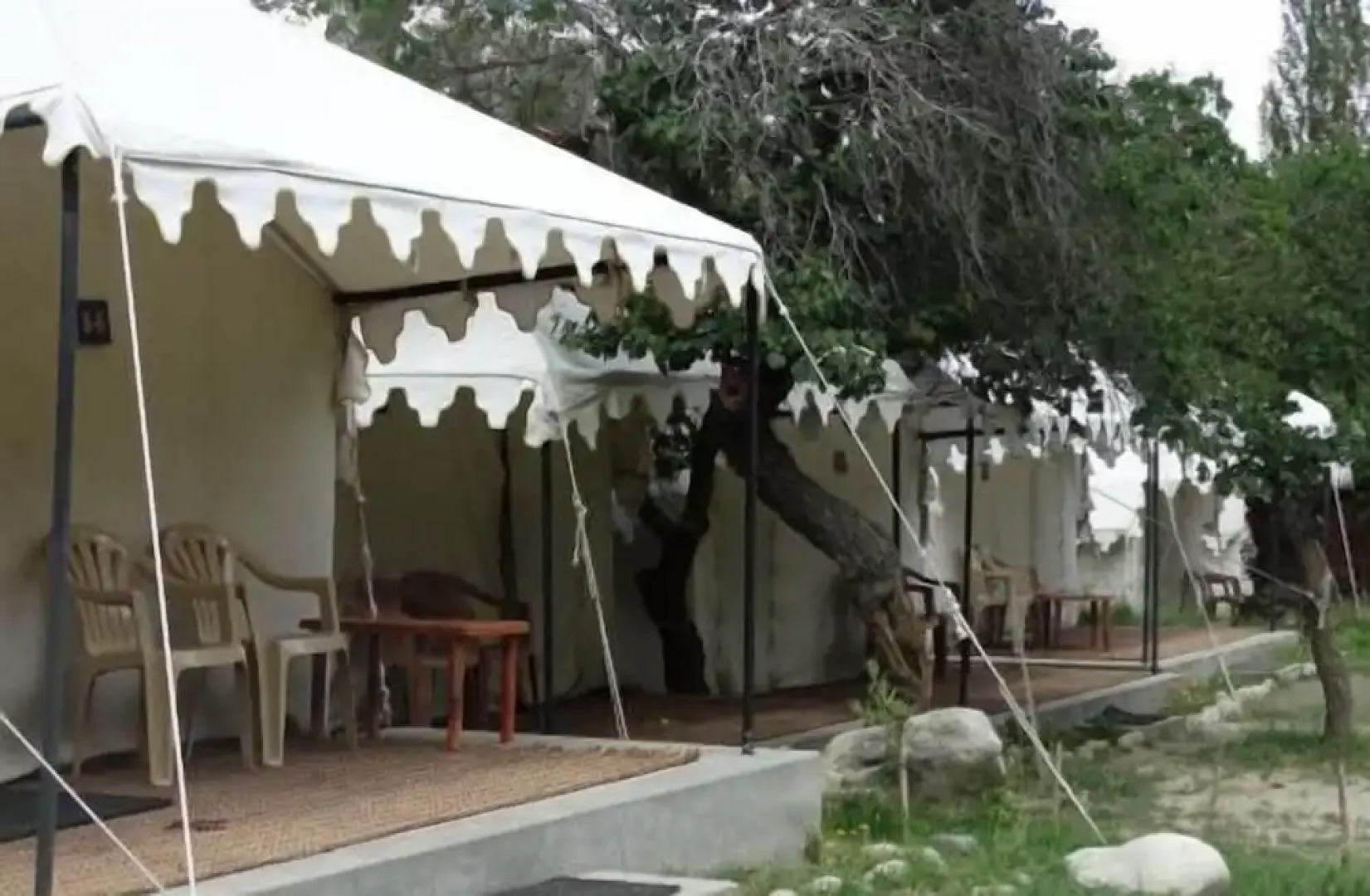 Royal Deluxe Camp