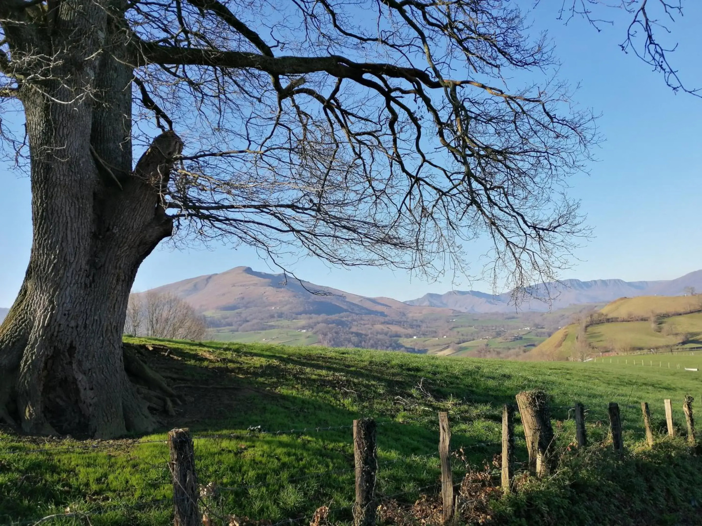 Logis Hotel Xoko-Goxoa