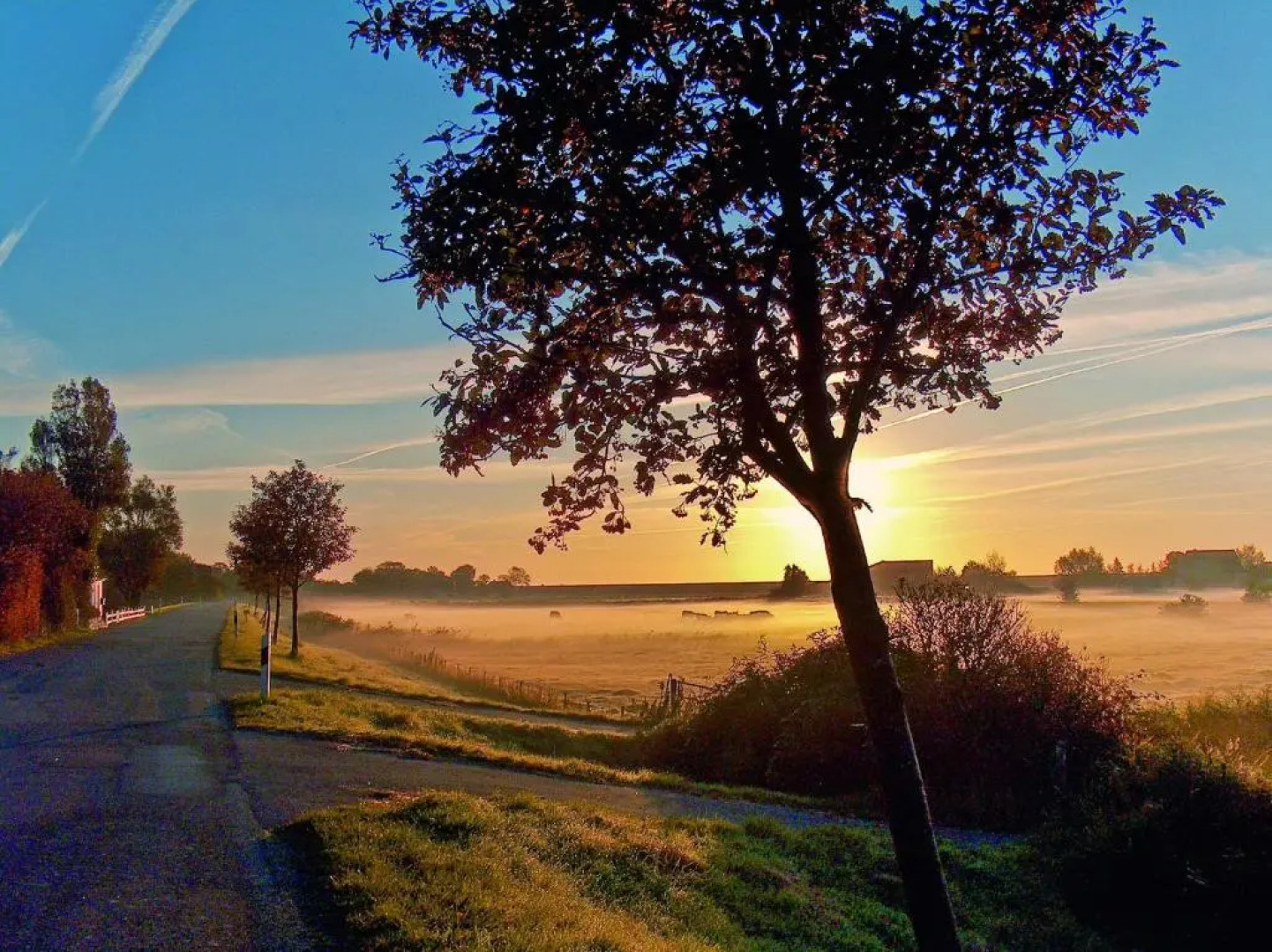 Gud Jard Lodge Nr 08 - Wohngesundes Design-Ferienhaus