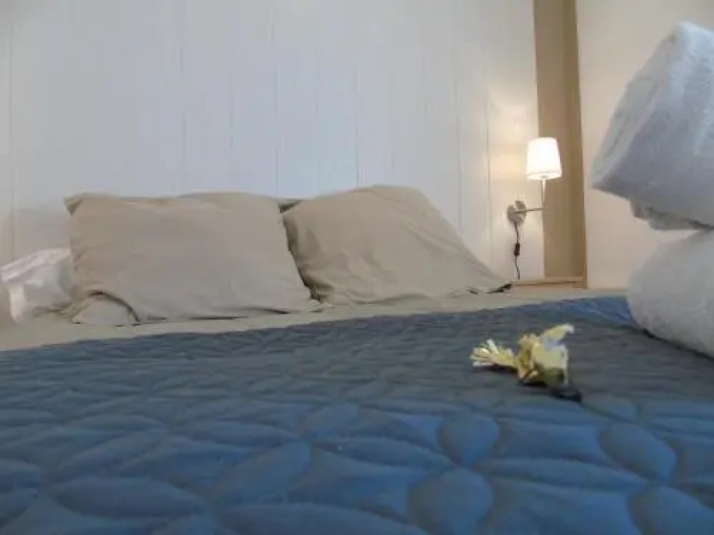 Les Jardins dAnna - Chambres dhôtes