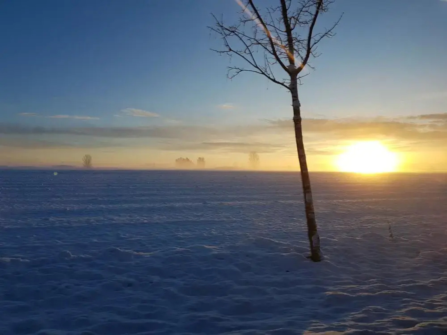 Studio - Landhotel Sonnenfeld
