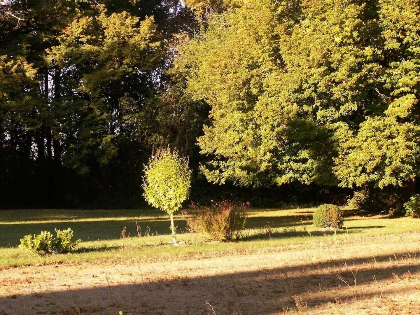 Château de la Court d'Aron