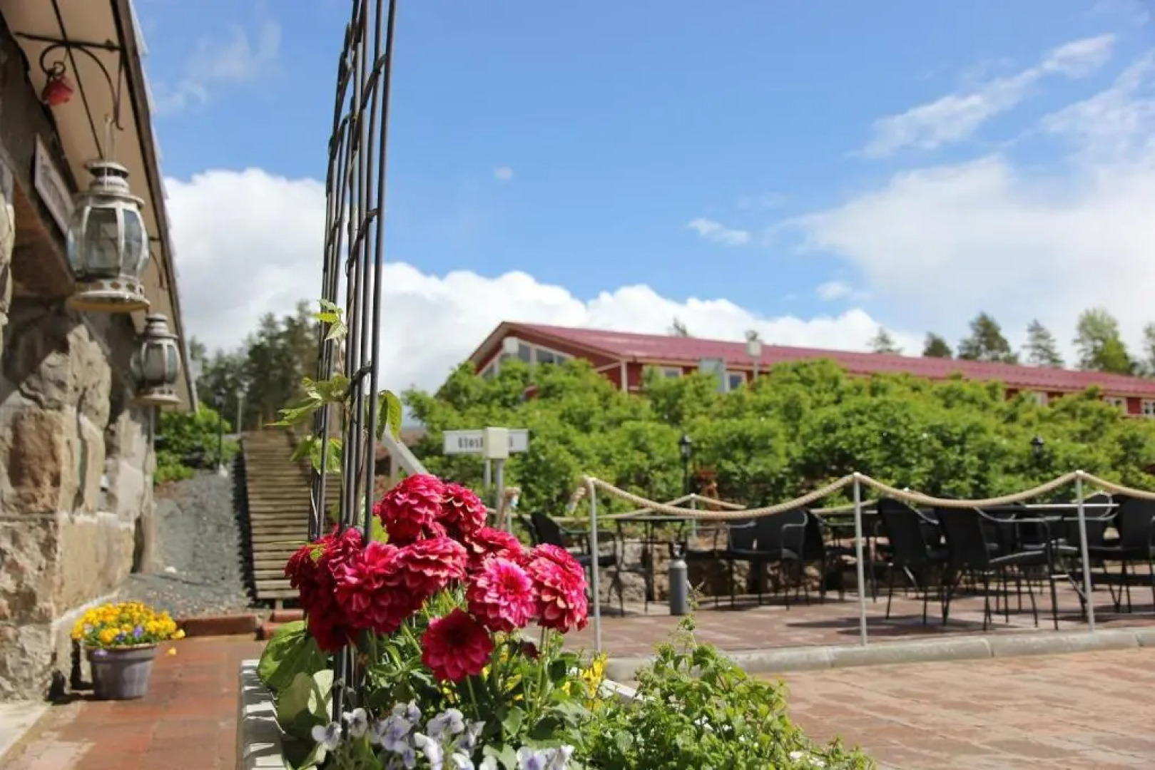 Woikoski Feeling - WHD Gård