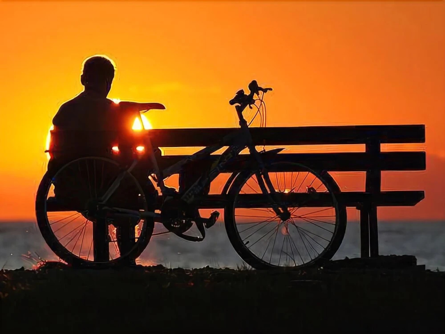 Holiday House Stinjan Licardo