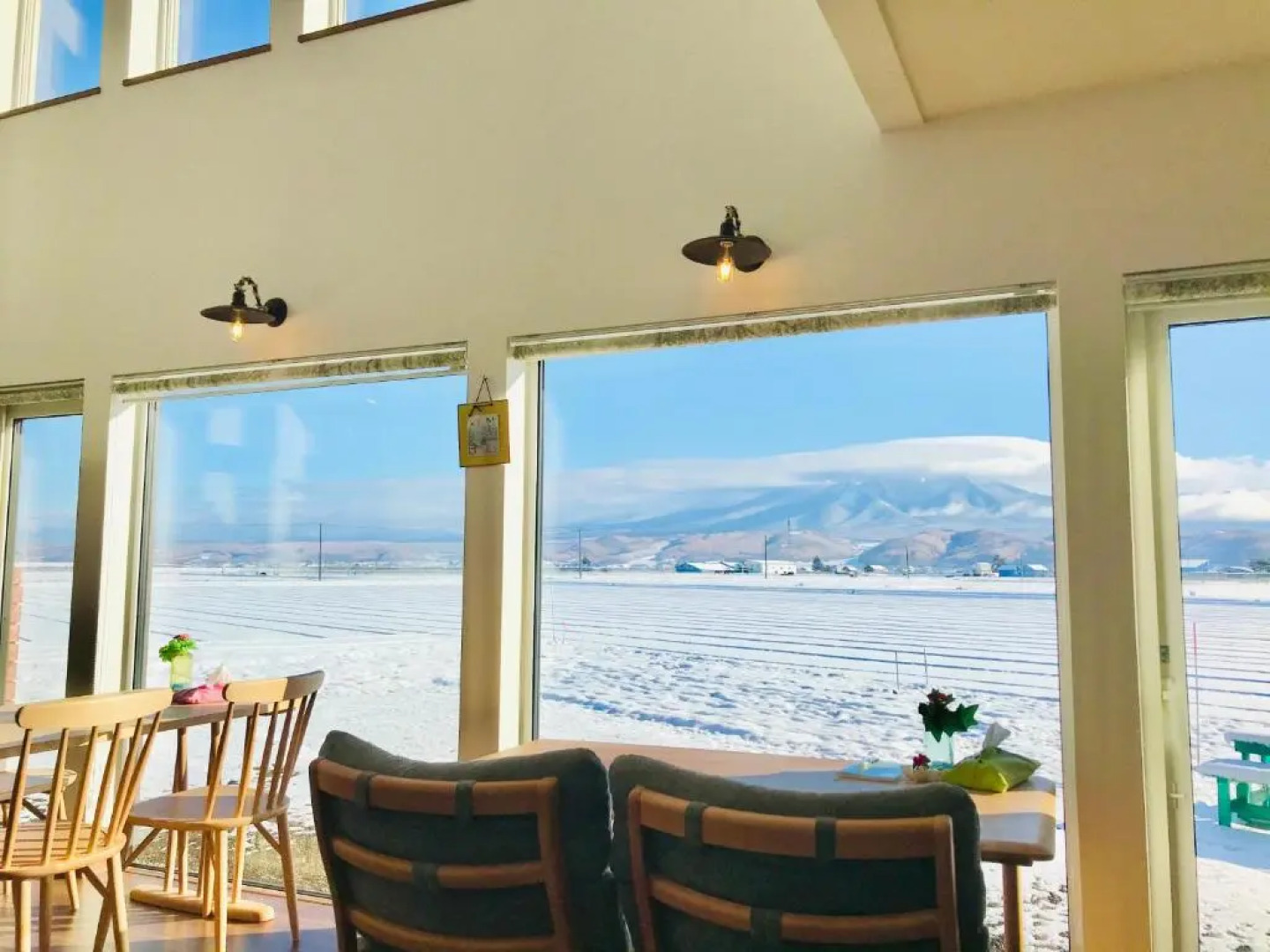 B&B Plus+ Shooting Star