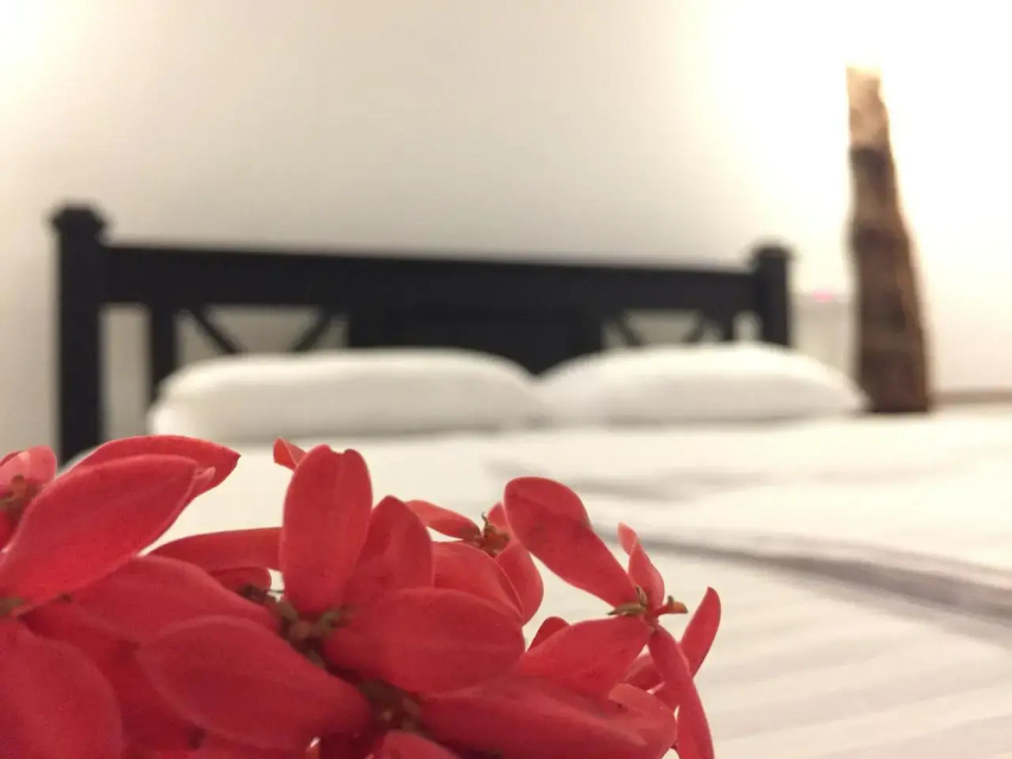 Wija House - Unawatuna