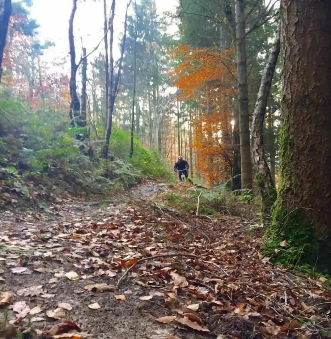 The Vagabond Bunkhouse & Pizzaria - Hostel