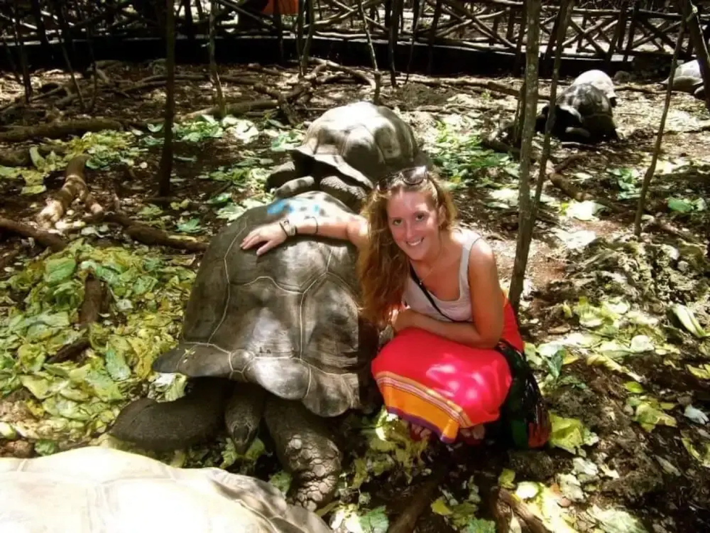 Zanzibar Airport Palace