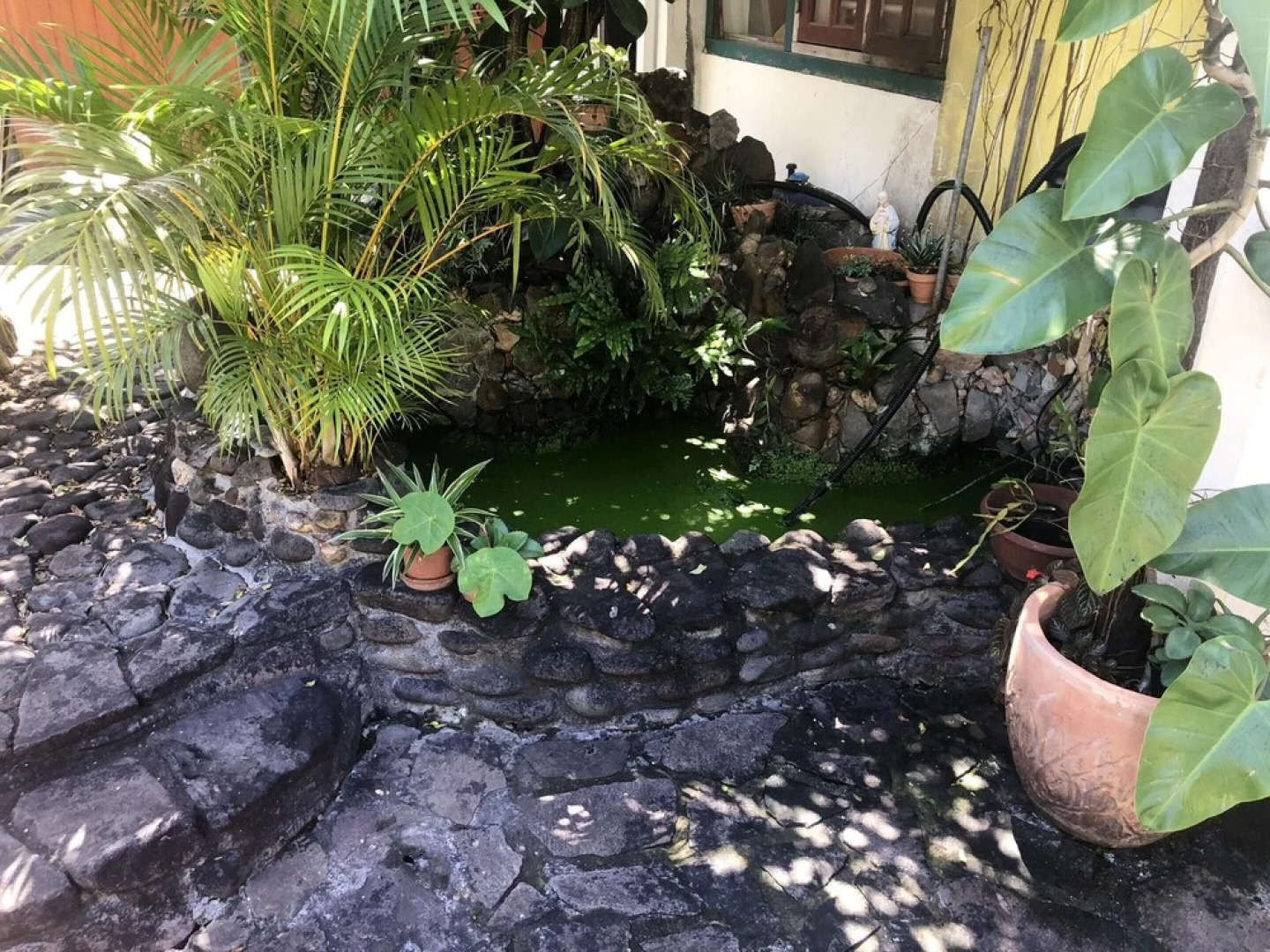 Studio in Basse Terre, With Enclosed Garden and Wifi