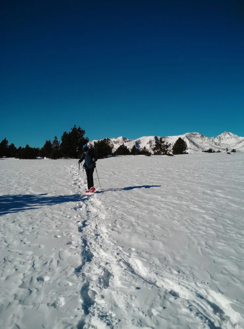 Chambres d'Hotes Ecogite du Mas de Trape