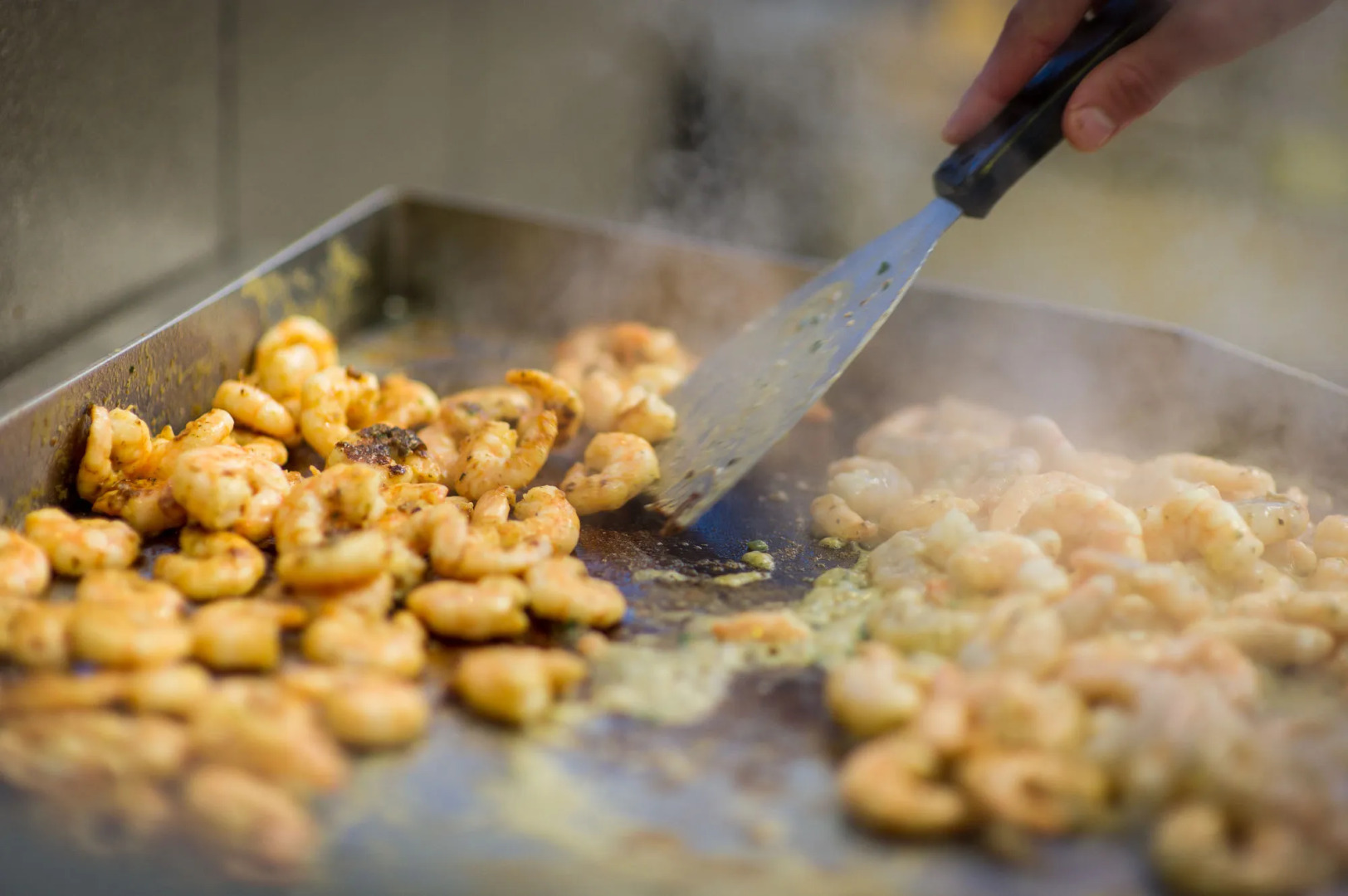 Novotel Lyon Bron Eurexpo