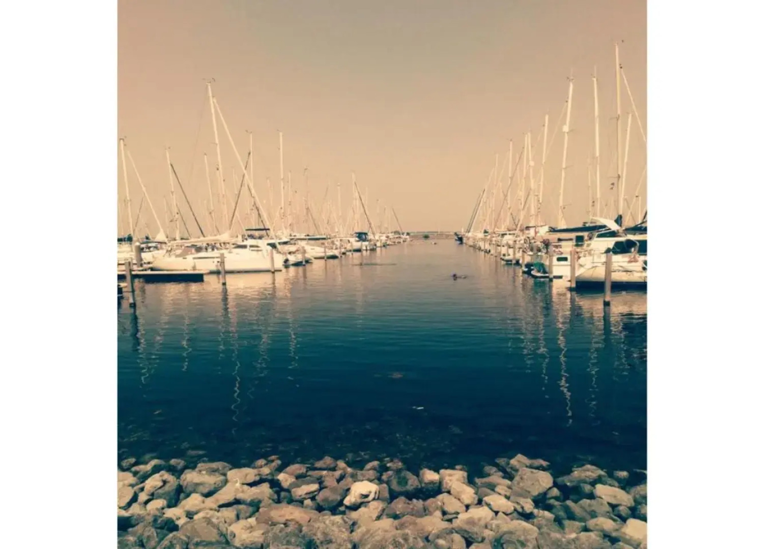 De Tureluur Bruinisse