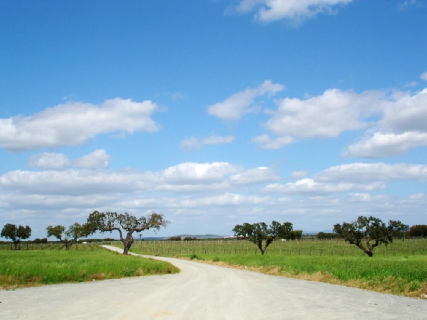 House With 5 Bedrooms in Seda - Alter do Chao, With Shared Pool, Furnished Garden and Wifi