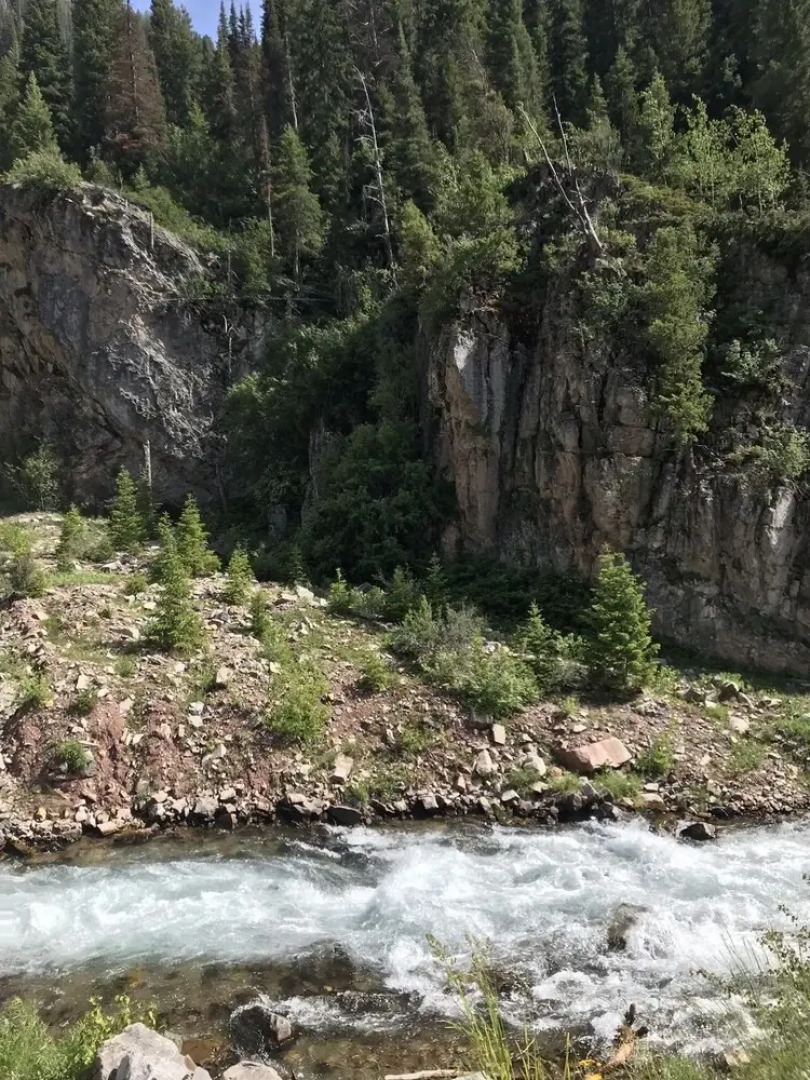 Z Bar Z Ranch Guest Loft