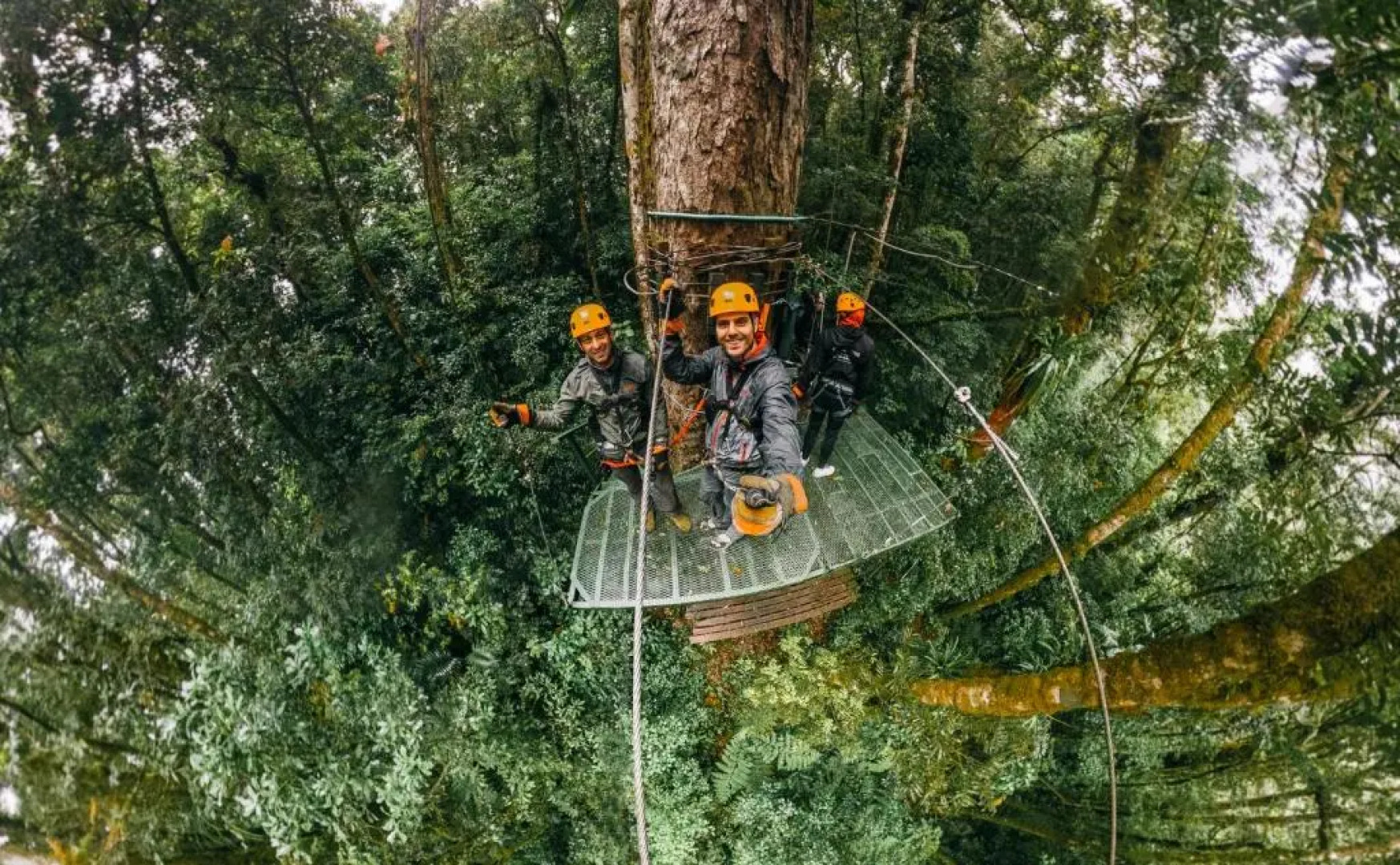 Tree Trek Boquete Adventure Park