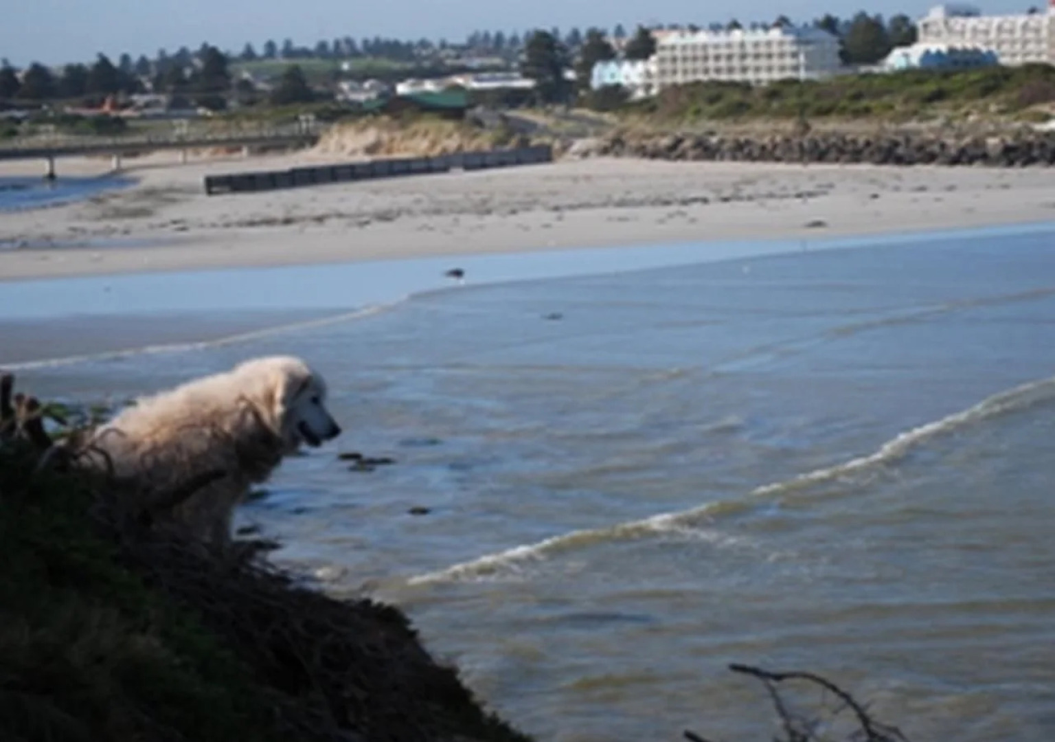 Bayview Serviced Apartments Warrnambool