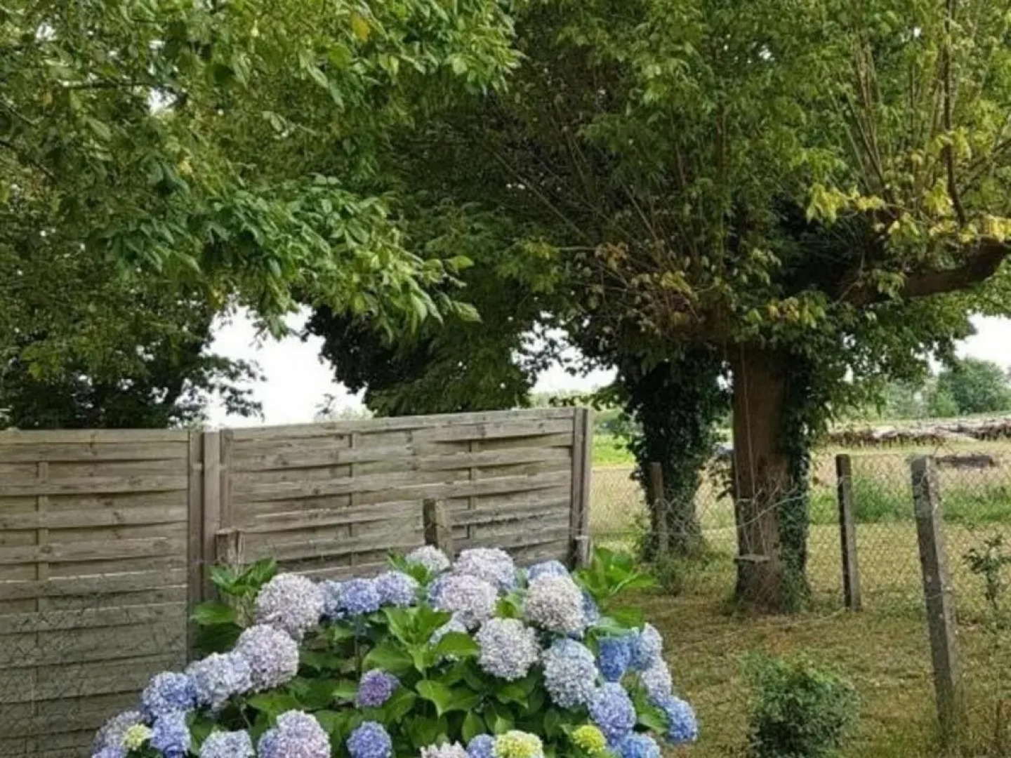 Gite Herm, 3 pièces, 4 personnes - FR-1-360-591