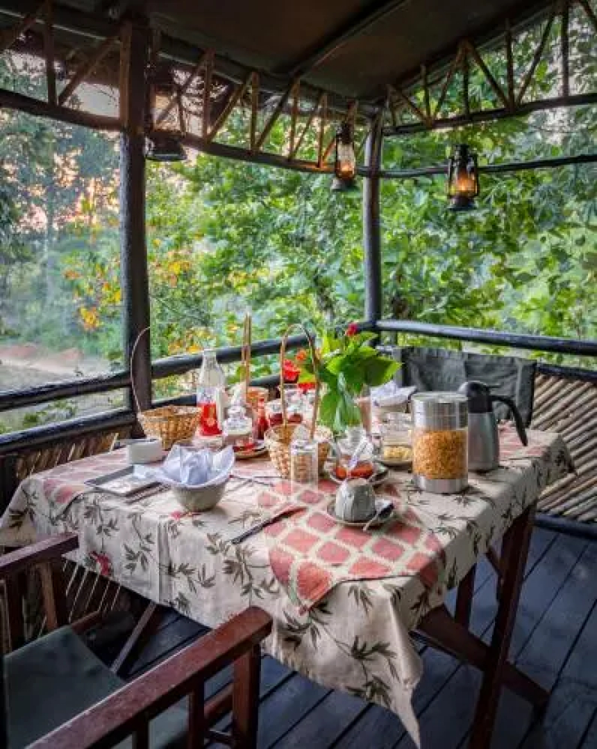 Tree House Hideway Bandhavgarh