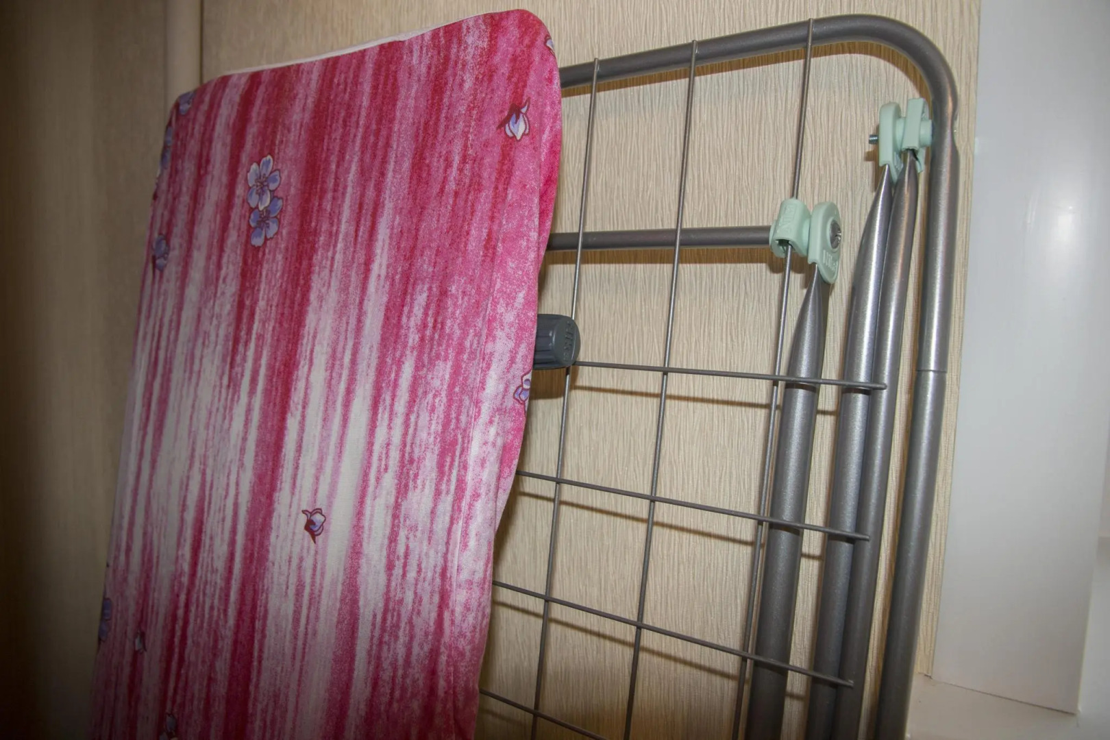 Барбарис на улице Парижской Коммуны 40