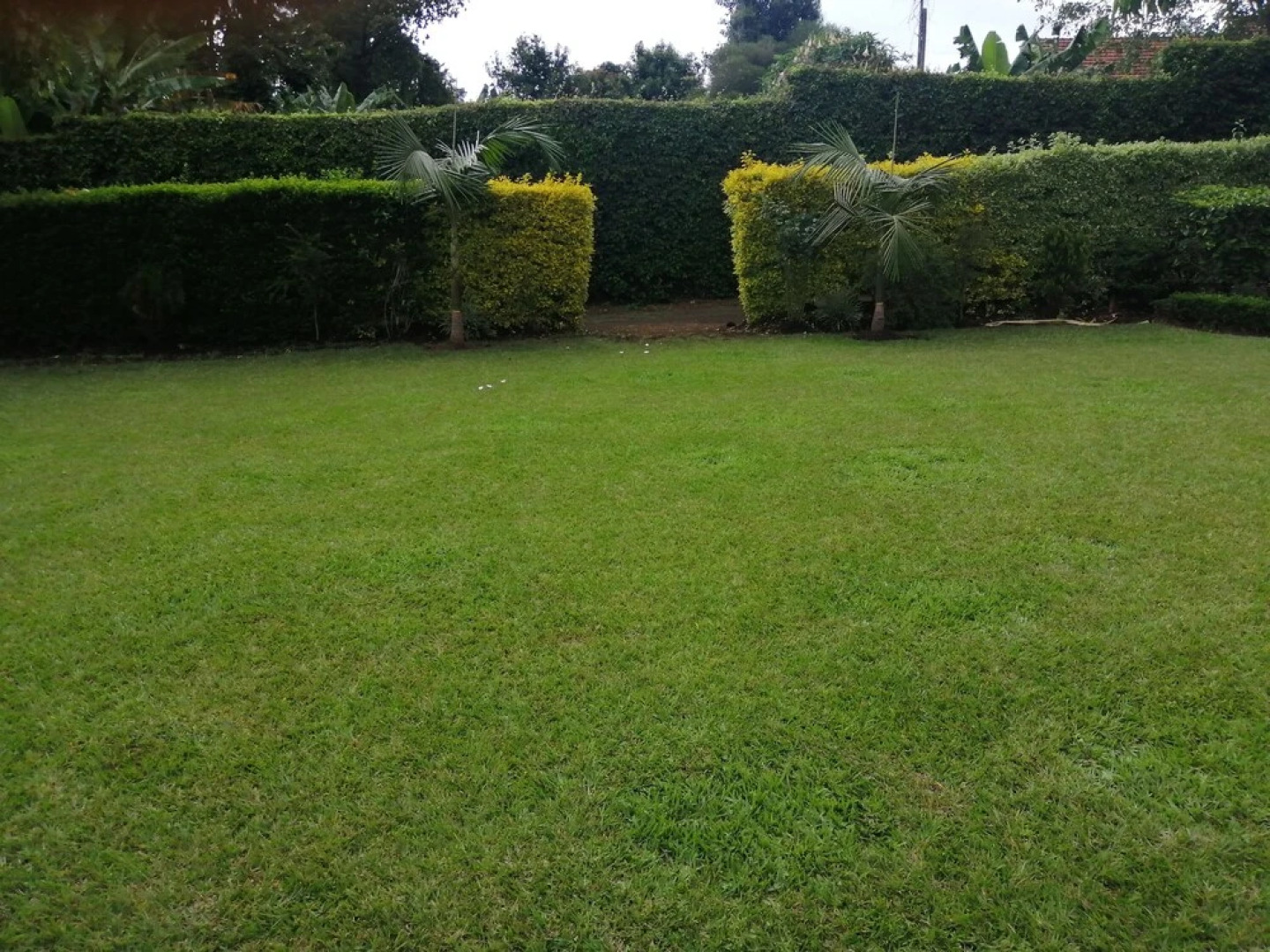 Royal Green Gardens Resort