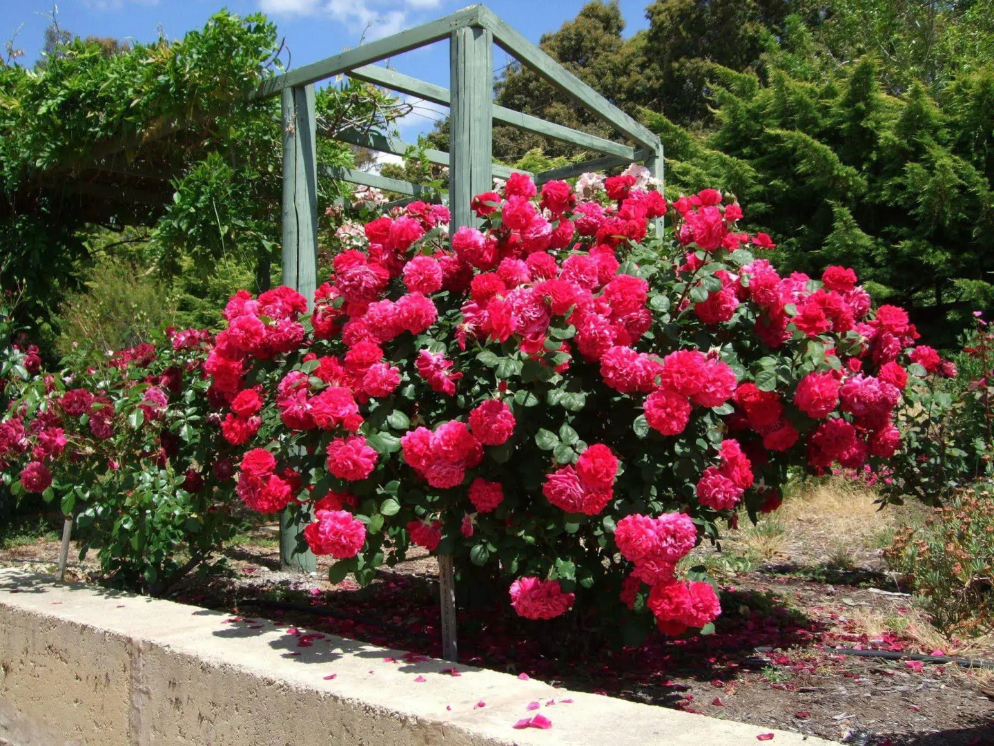 Mossbrook Country Estate Bed & Breakfast