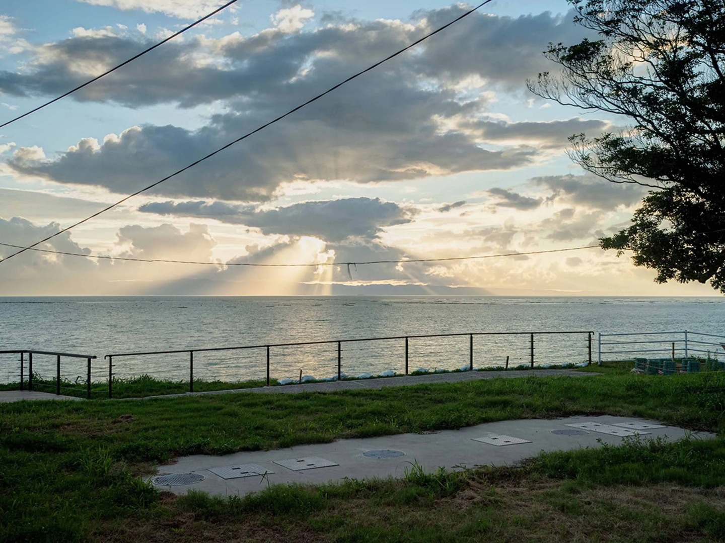 Yukusa Ohsumi Umi no Gakko