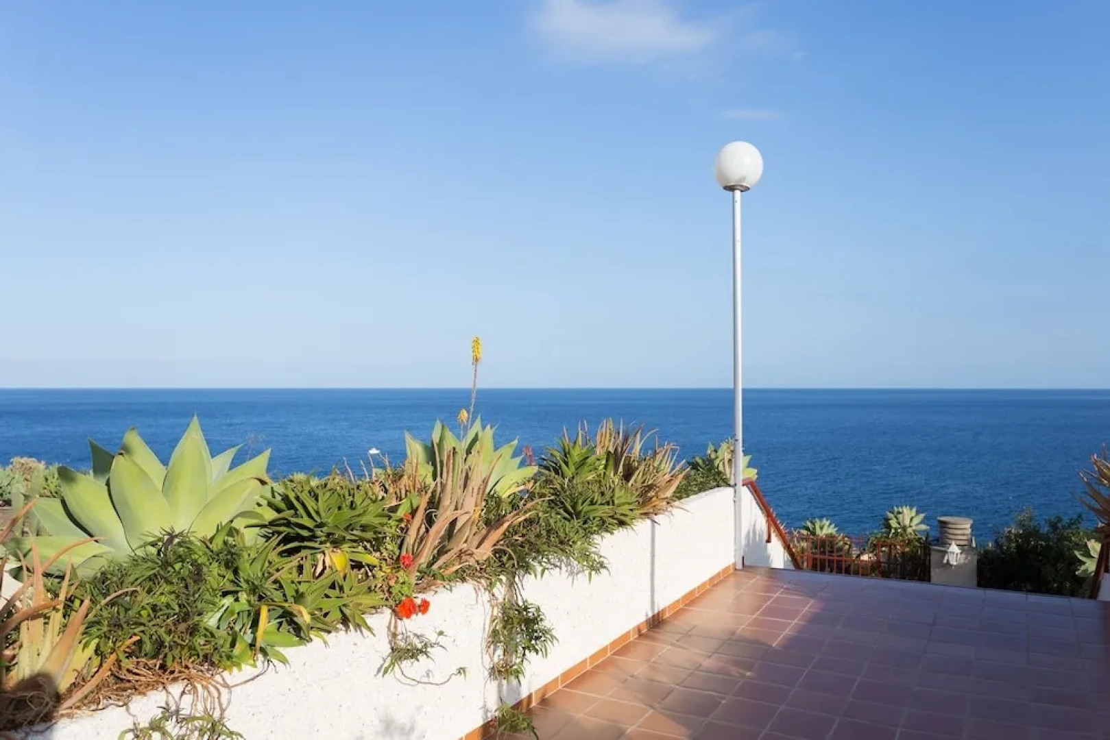 Live Tabaiba Maritime Avenue