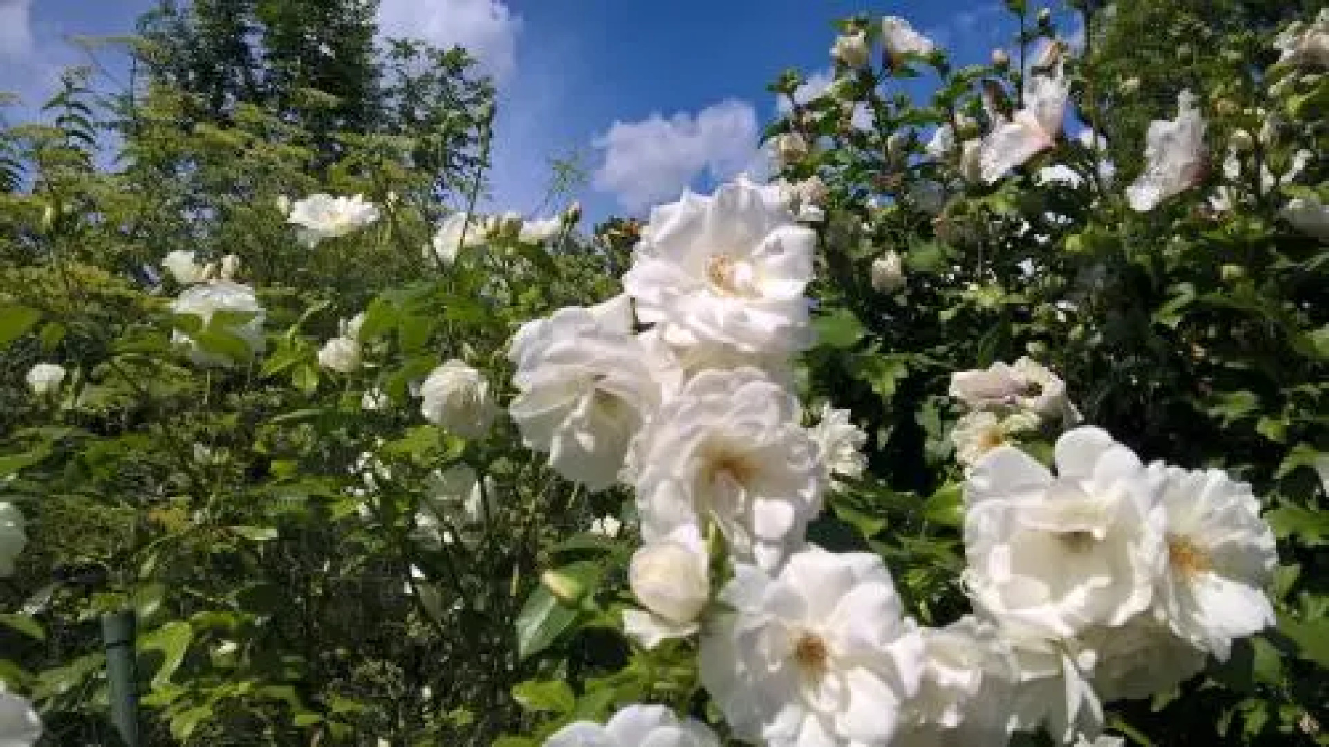 DAS KLEINE HOTEL IPHOFEN, Iphofens kleines Secret