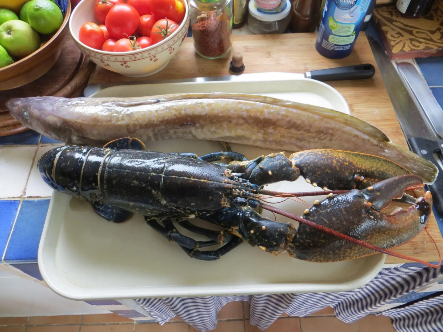 Holiday Home, Plouneour Brignogan Plages