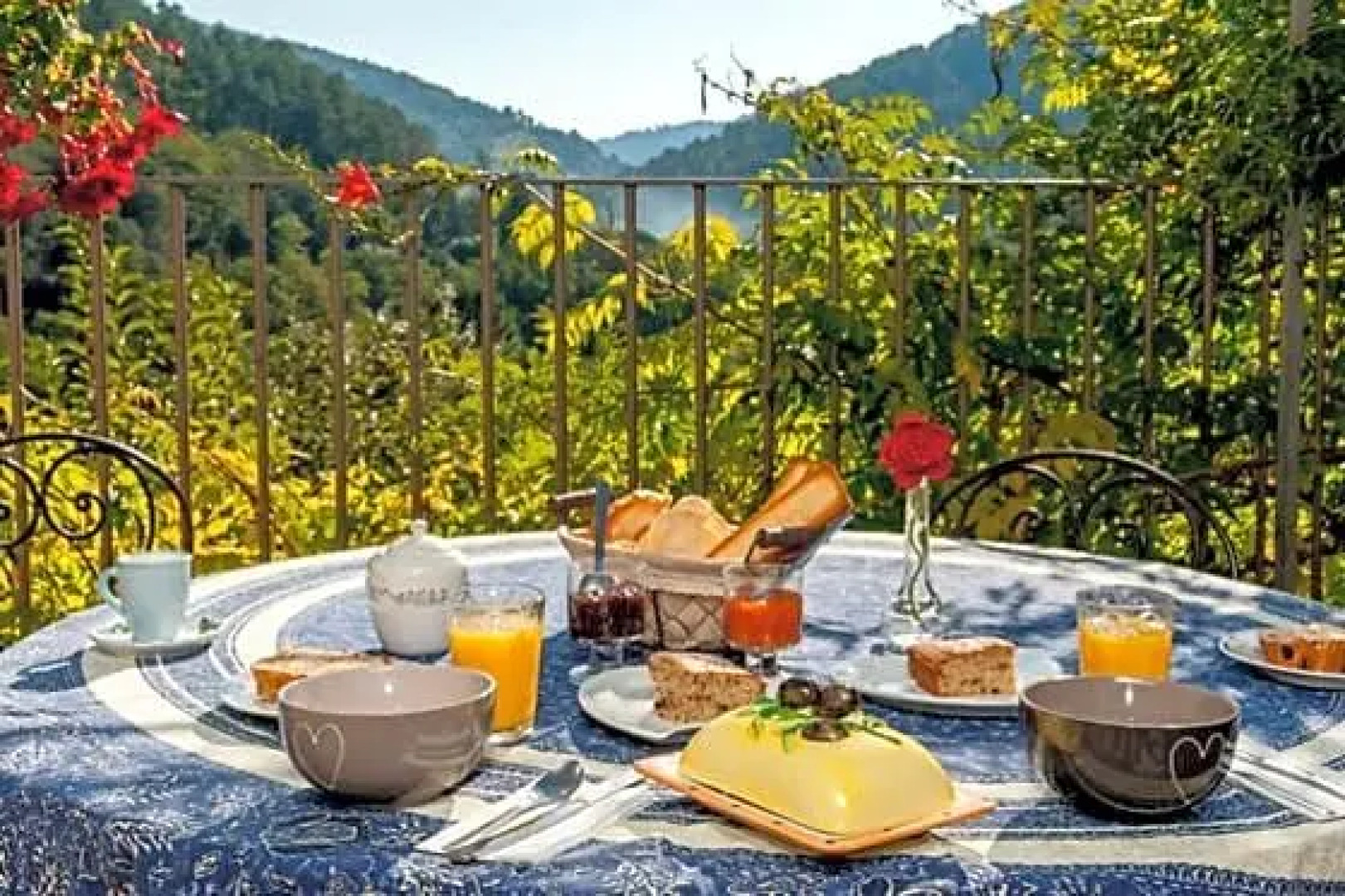 Le mas des sources cévenol