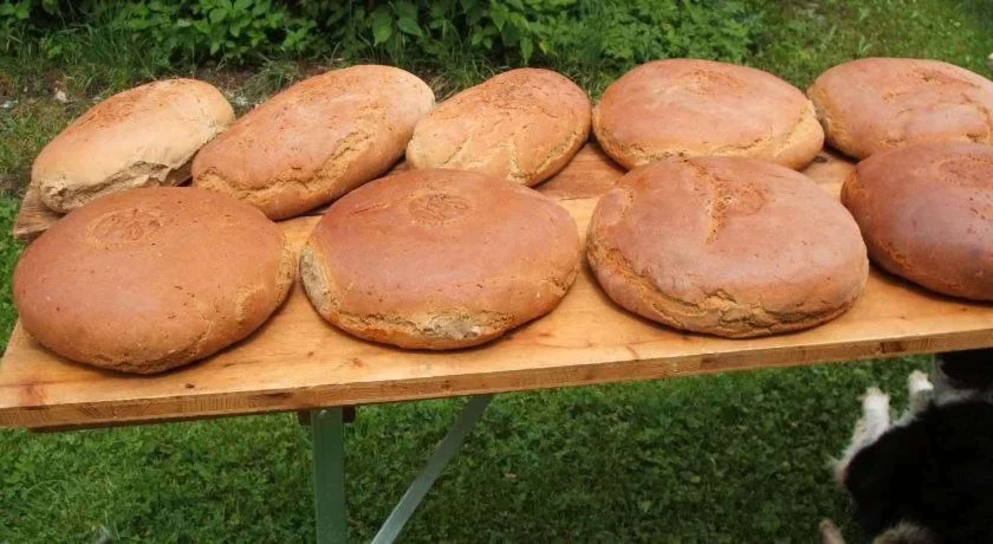 Vorderoberlehen