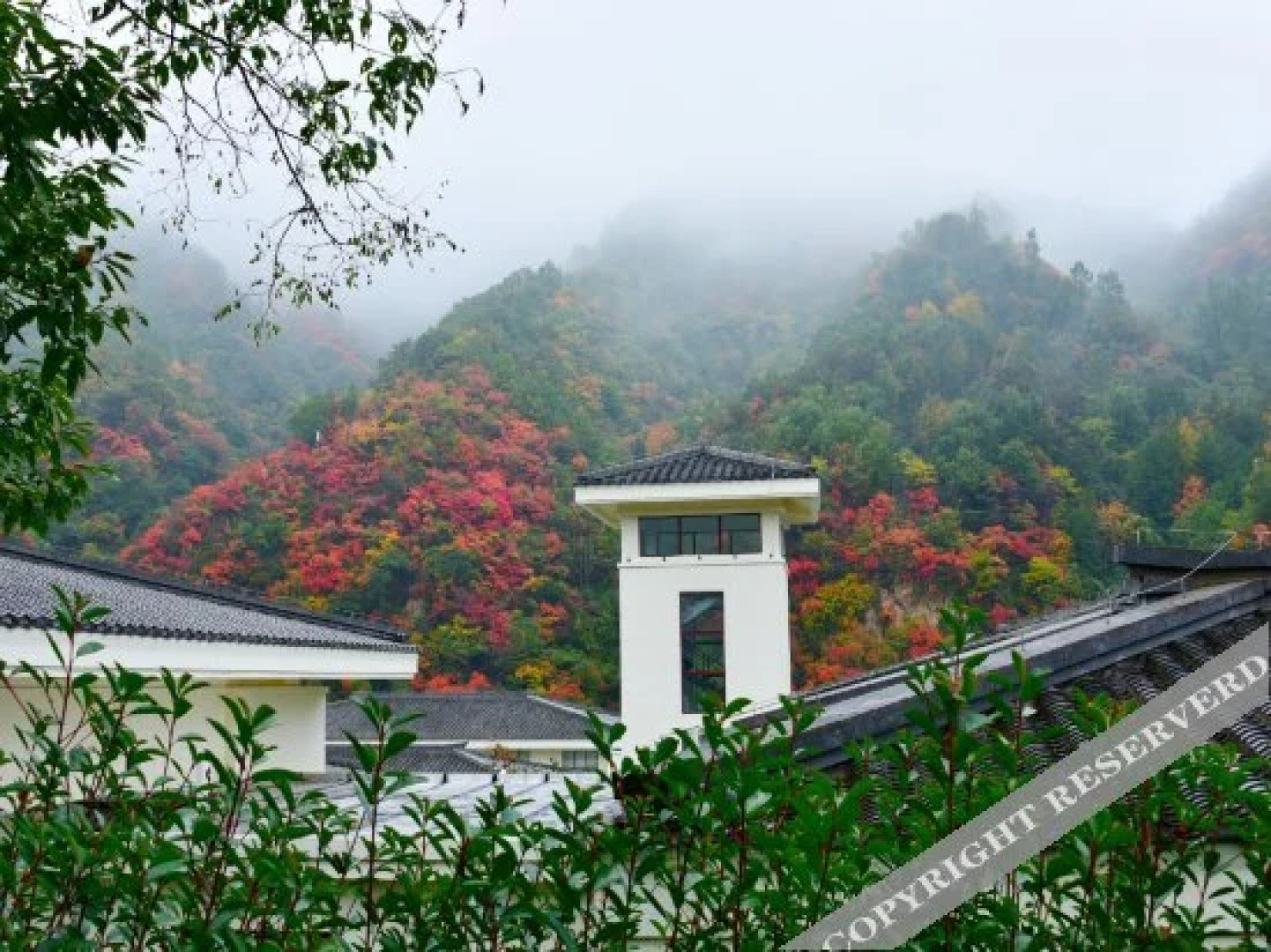 Yihe Funiu Shanju Hot Spring  Hotel