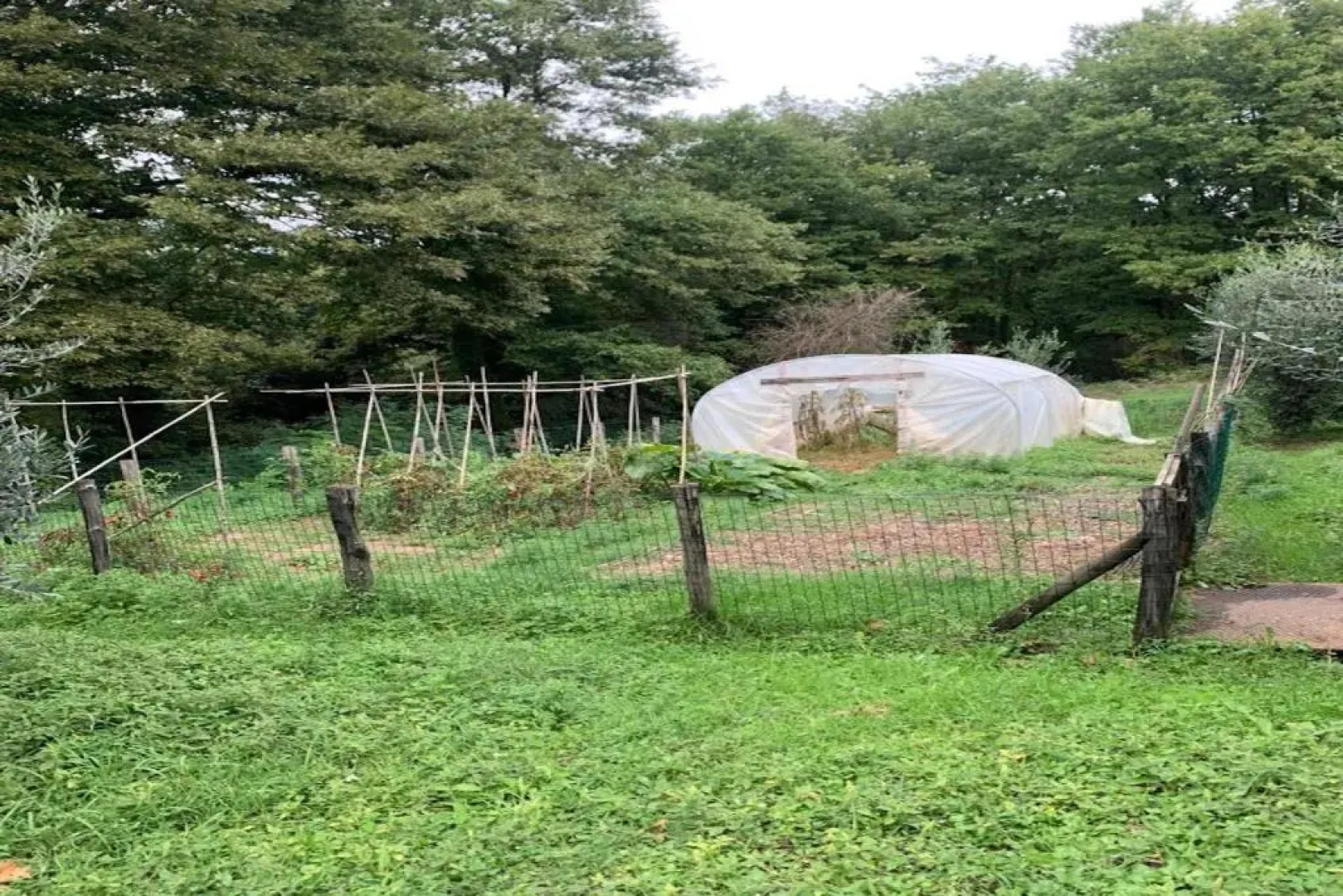 Semidetached Villa Shared Pool