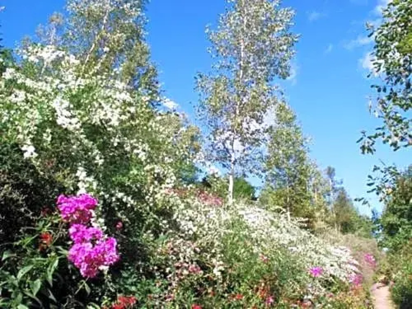 Takinoue Hotel Keikoku - Vacation STAY 32408v