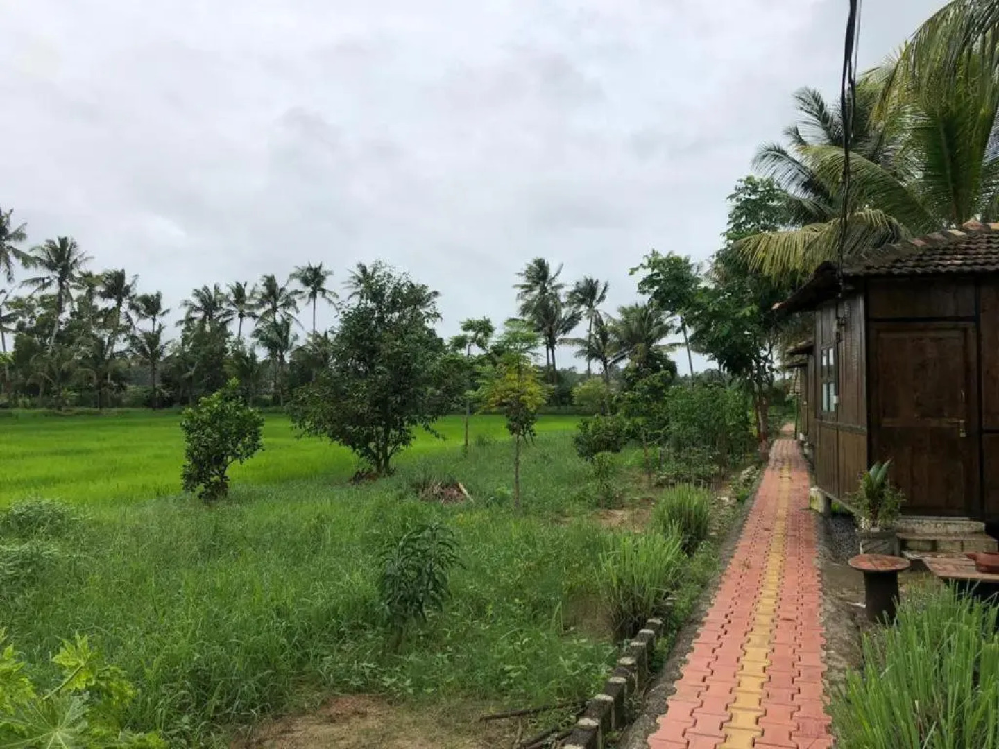 Saligao farm cottage