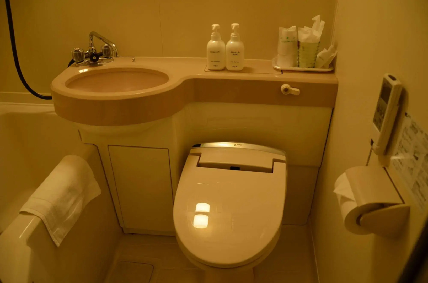 Hikone Biwako Hotel