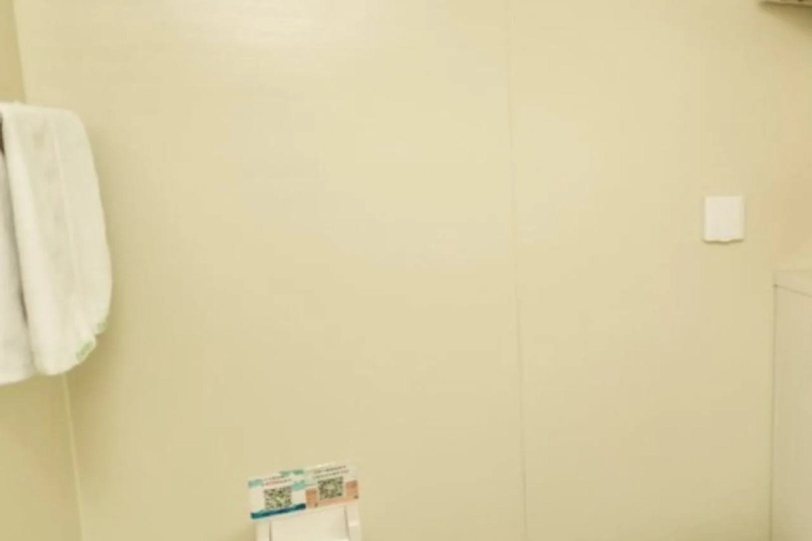 GreenTree Inn QinYang Middle HuaiFu Road Express Hotel