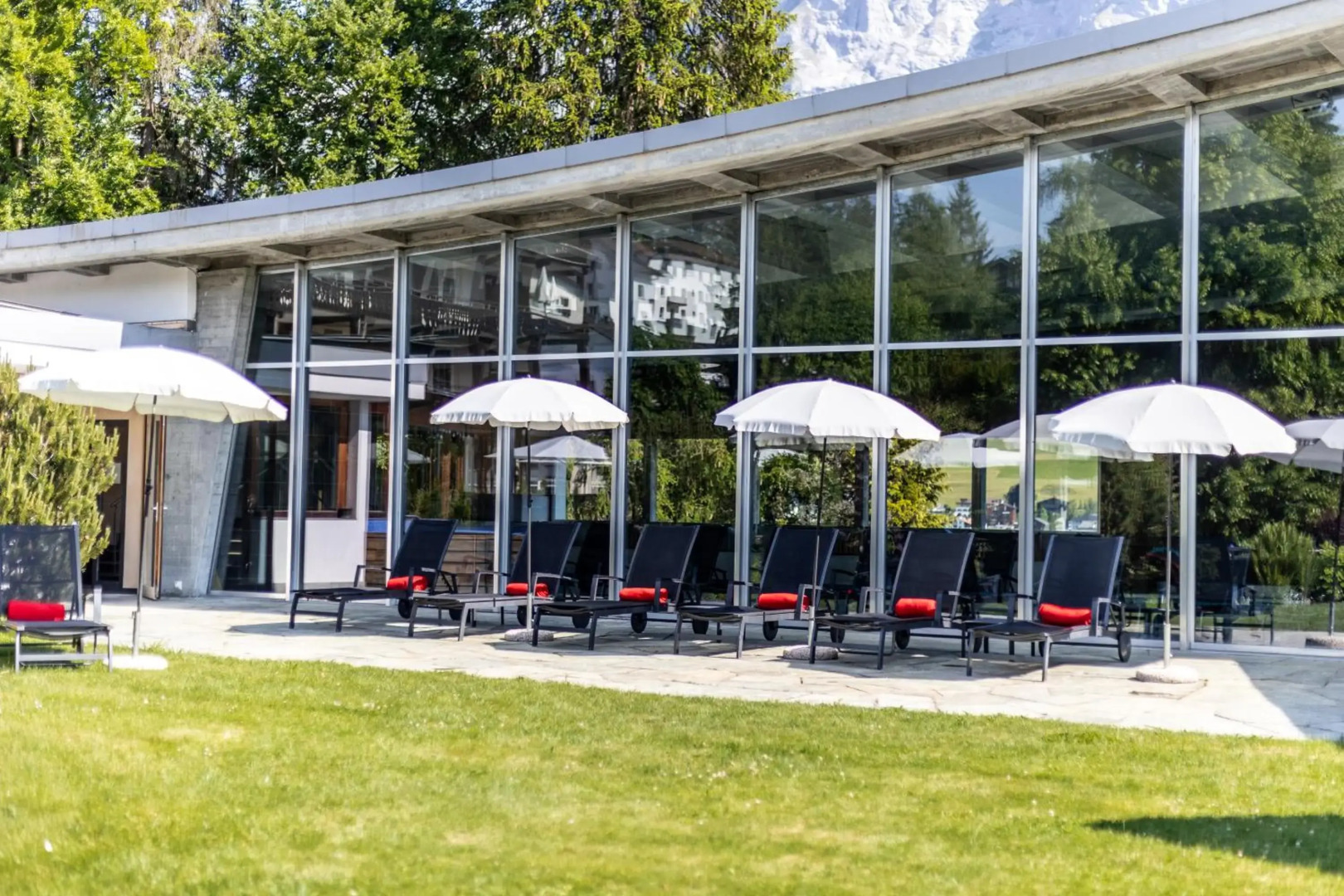 Soldanella by Hotel Adula