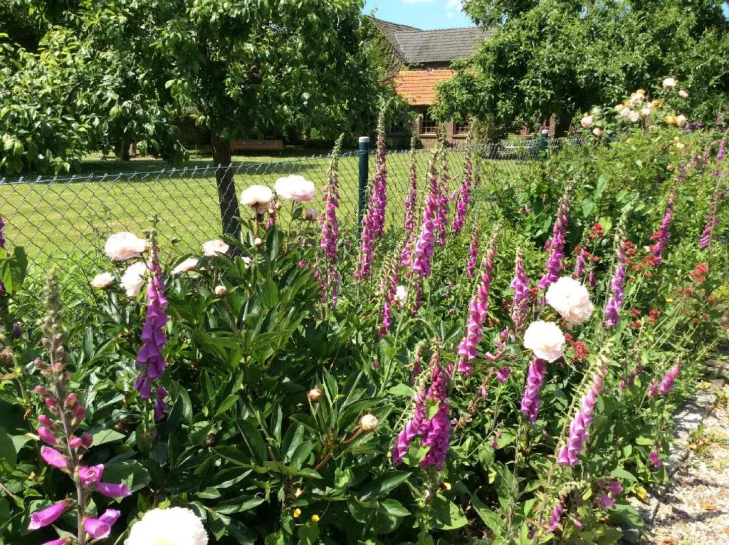 Ferienwohnung Haumannshof