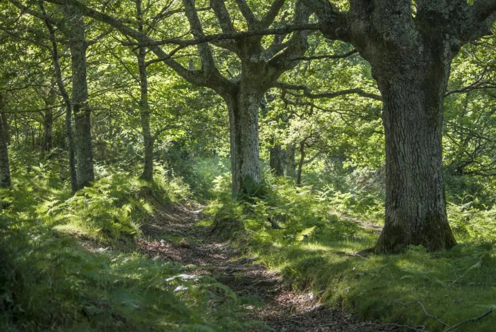 Casa Rural Erreteneko borda