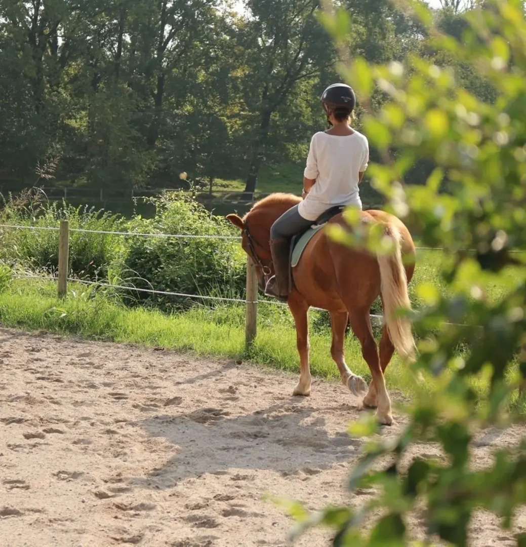 Agriturismo Tenuta Le Sorgive