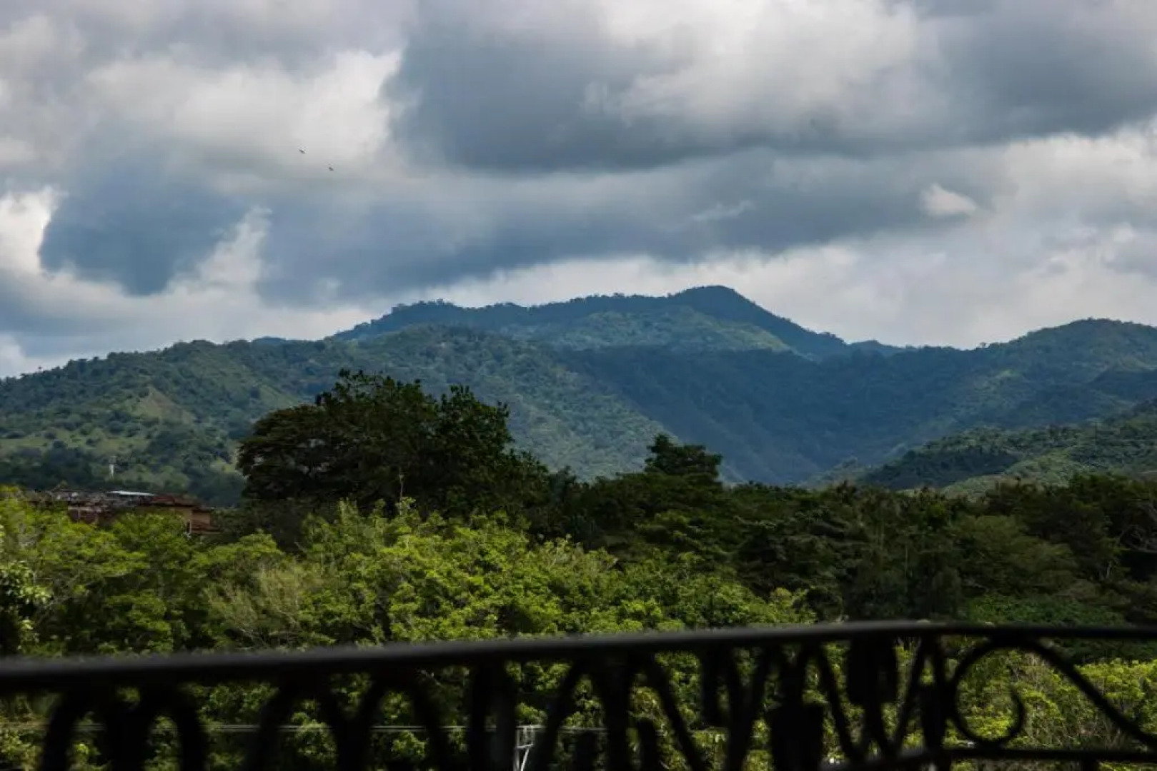 Acqua Residences 503