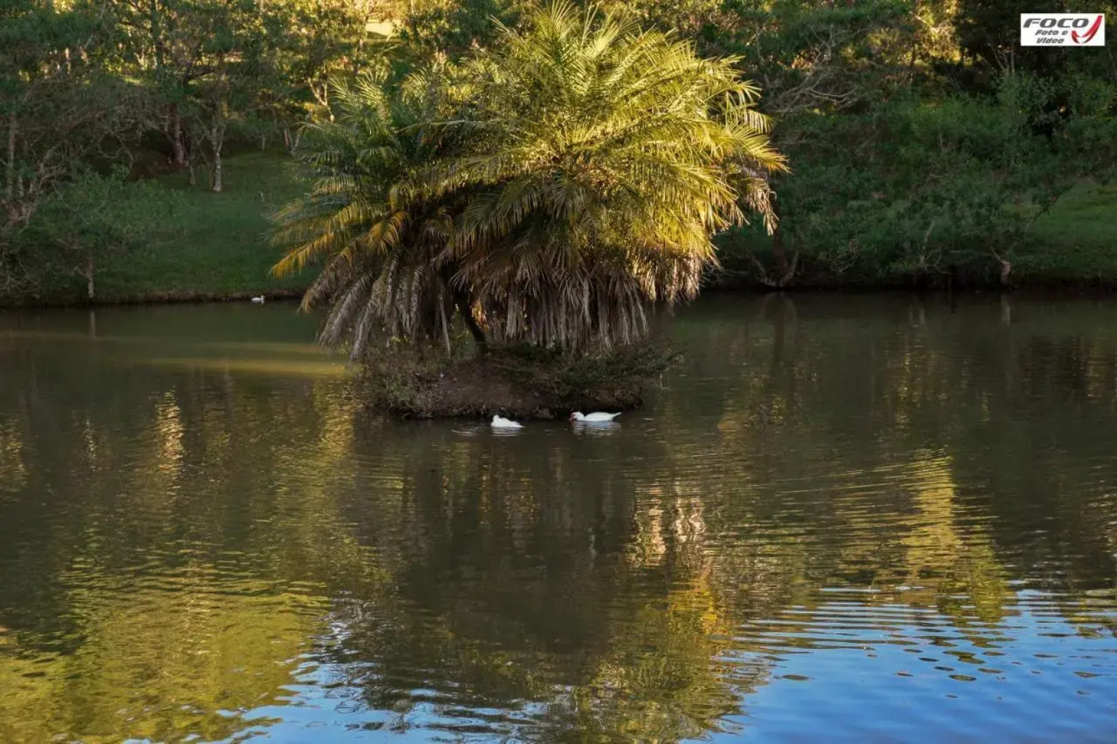 Park Hotel Mantiqueira