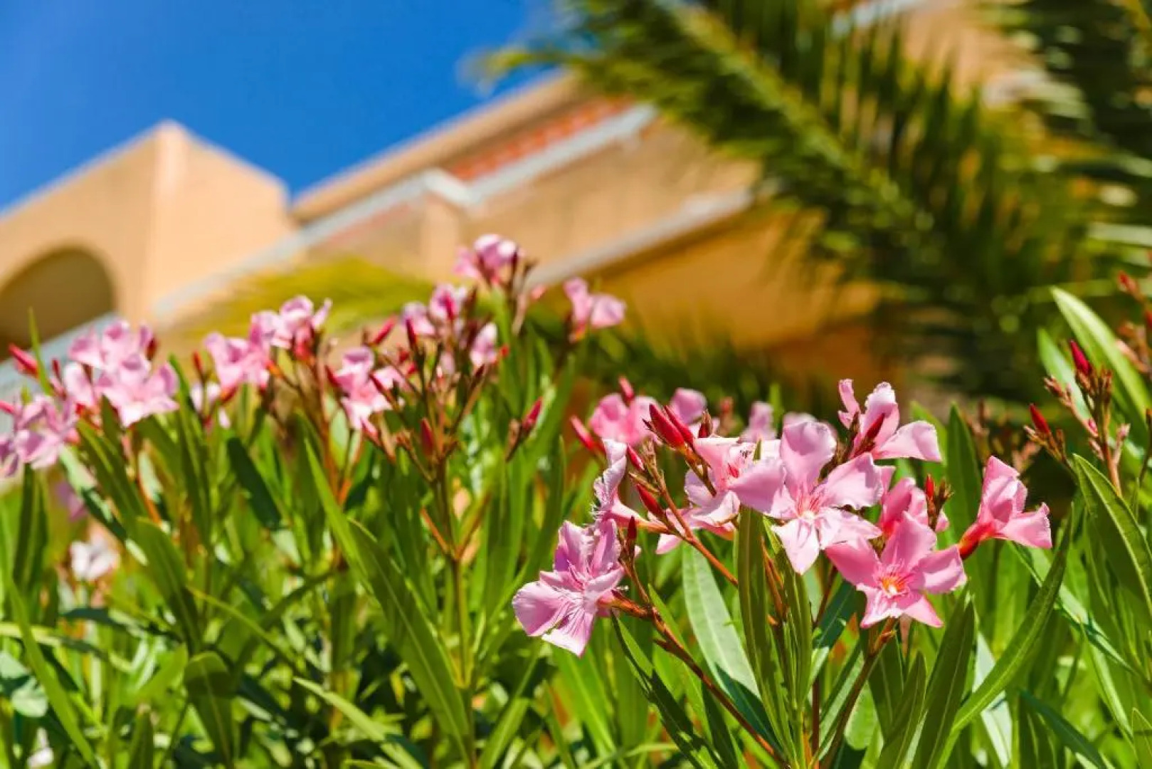 Résidence Lagrange Vacances Villa Barbara