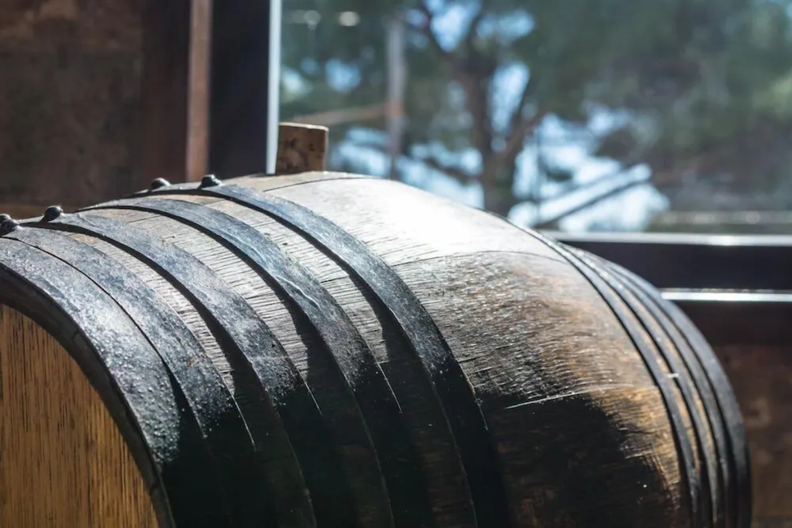 Camping Sierra de las Nieves