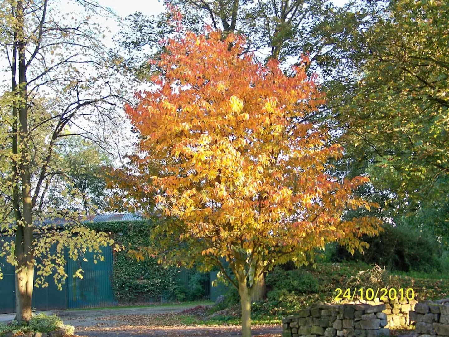 The Old Presbytery Guest House