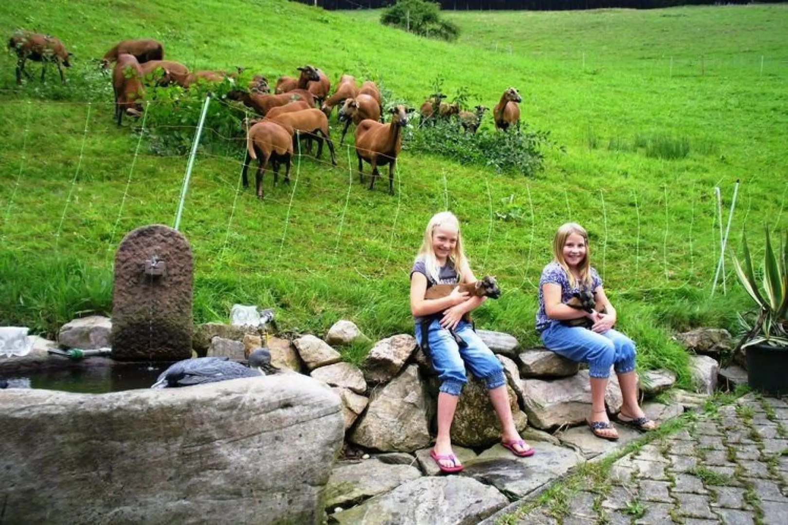 Serene Apartment in Hofstetten with garden amidst luxury of nature