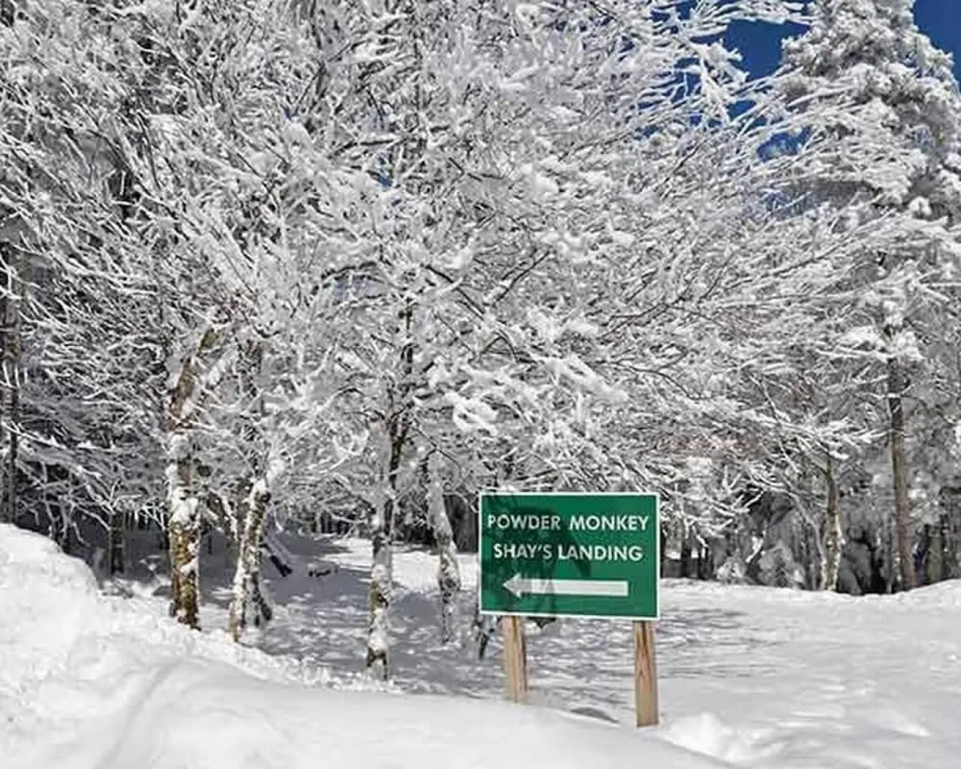 3 Br: Powder Monkey 3