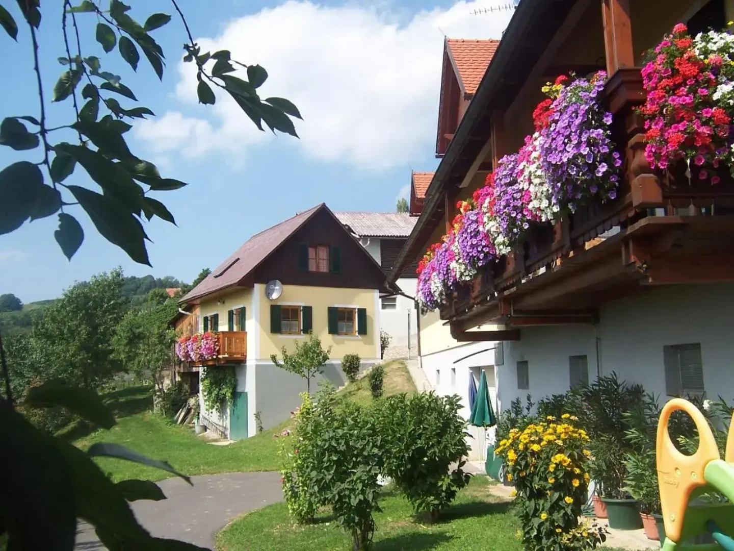 Weingut Fellner