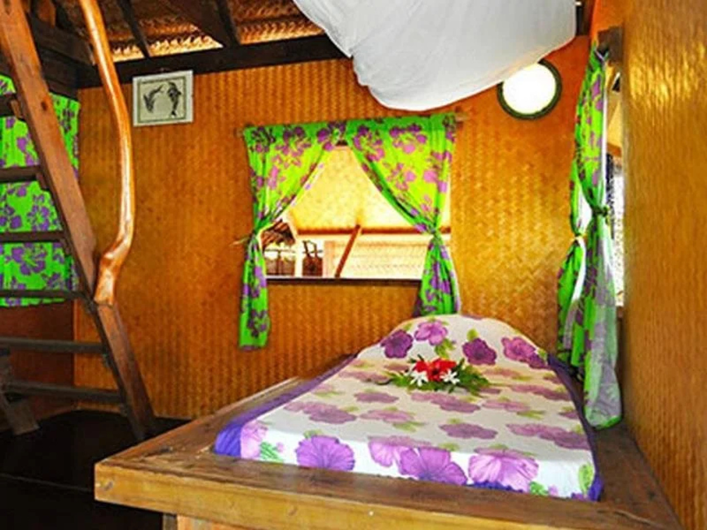 Pension Paparara Dive and Lodge